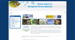 Desktop Screenshot of ozoneinjury.org