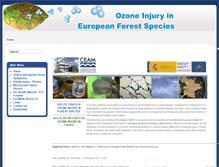 Tablet Screenshot of ozoneinjury.org